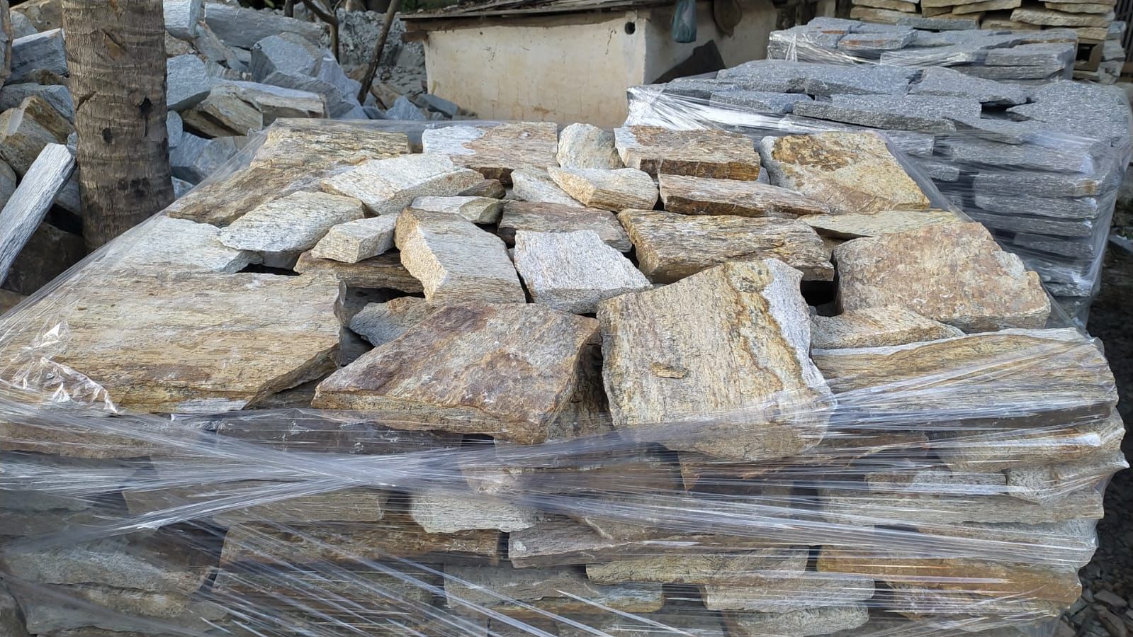 Caco de Pedra Madeira - Imagem 3